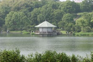 IMG_6167_1024